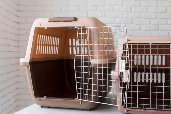Cages pour chiens et chats : quelles différences ?